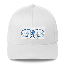 Load image into Gallery viewer, Structured Twill Cap